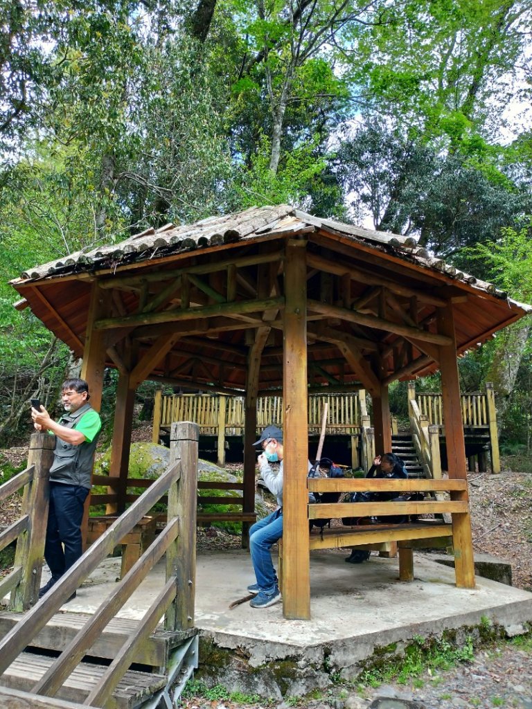 觀霧瀑布步道_1662989