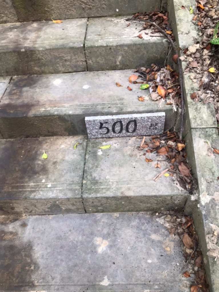 2020台北縱走第七段_995325