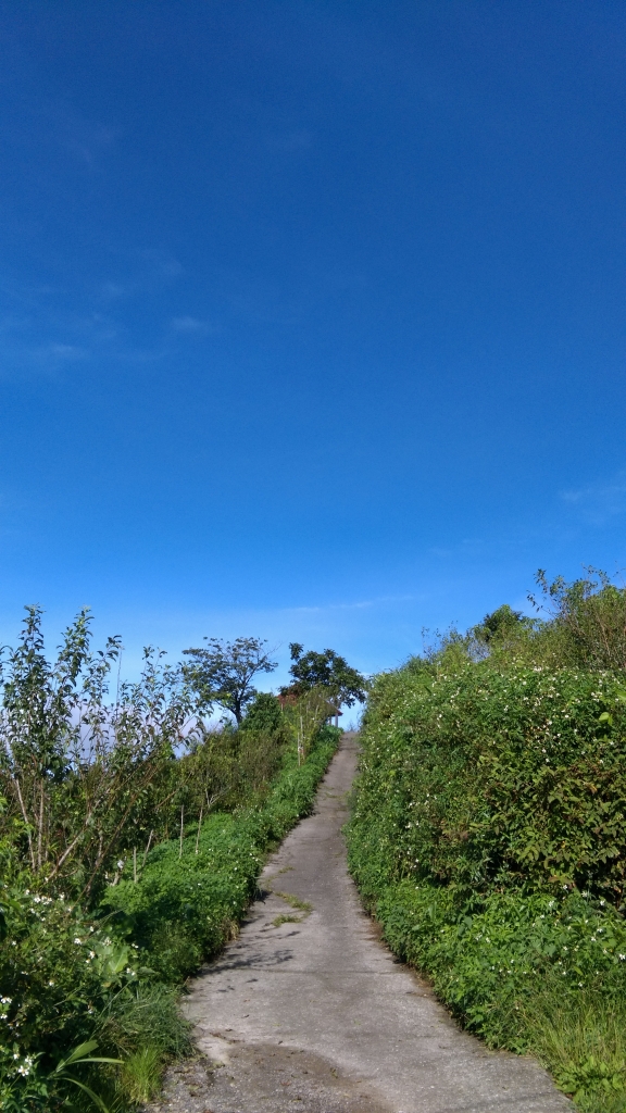 隙頂二延平的綠色傳說_55385