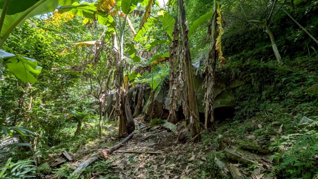 114.06.01溪山百年古圳-太平尾山+聖人崙之旅_2801829