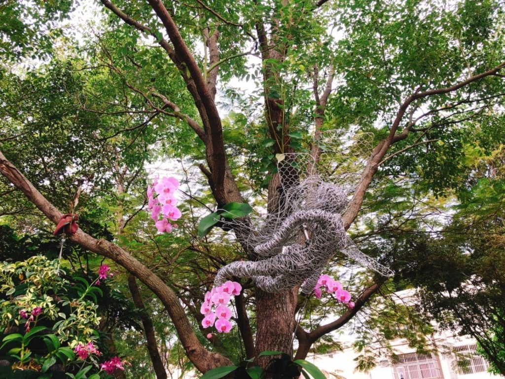 2018台中花博豐原葫蘆墩公園_465554