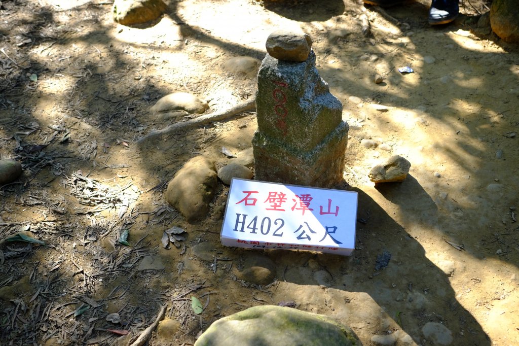新竹縣 飛沙大縱走(大板根來回)_1224924