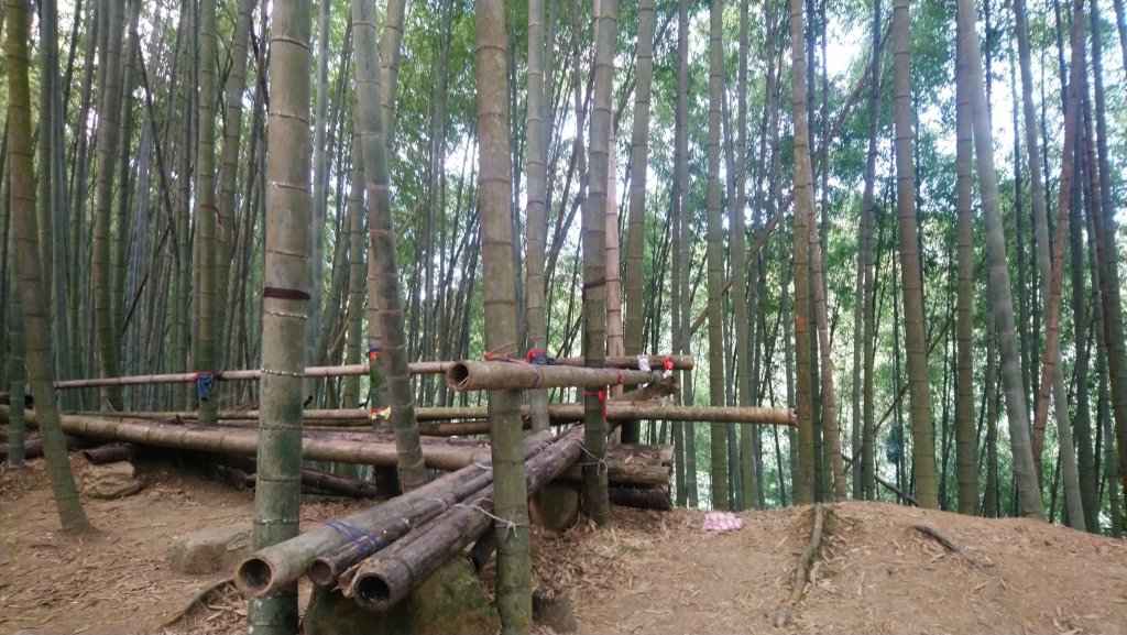 溪頭山、竹崙山、志騰山3山連走_1484400