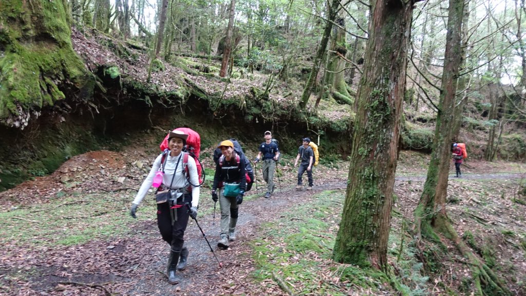 雙龍林道上巒安堂西巒大山_1778764