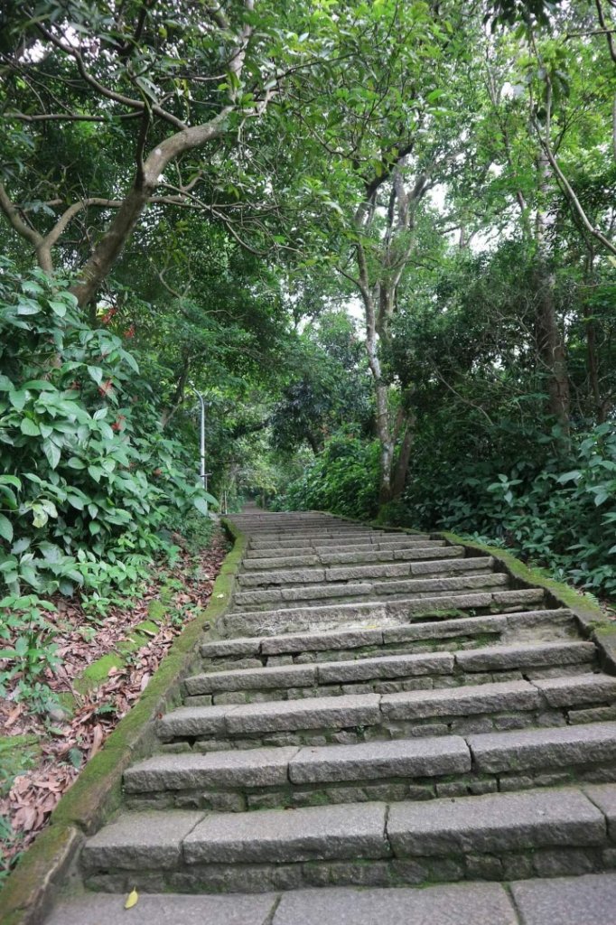 小百岳NO.13南港山，南港山北峰，九五峯_2285581