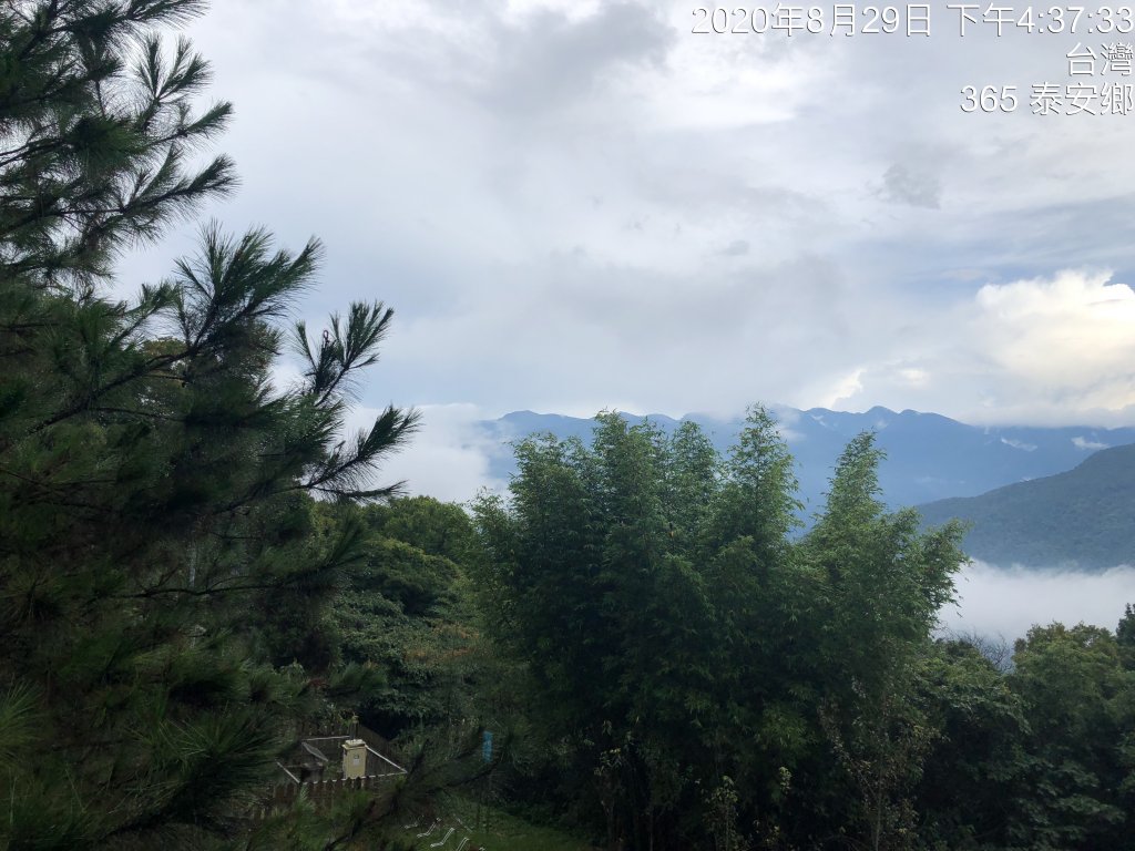 雪見遊憩區/司馬限林道/東洗水山_1086361