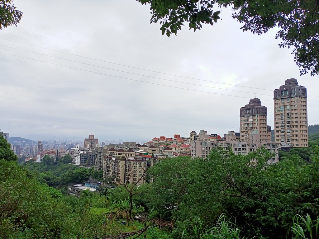 山清水麗的陽明山國家公園 (天母→猴洞→半嶺→湖山→陽峰古道→大屯瀑布→青春嶺→猴崁→竹子湖黑森林)_1835183