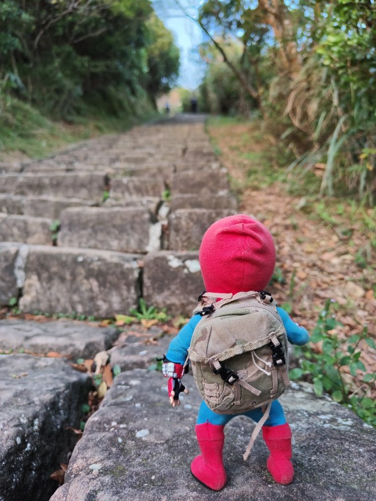 2023.11.28 基隆山_2547995