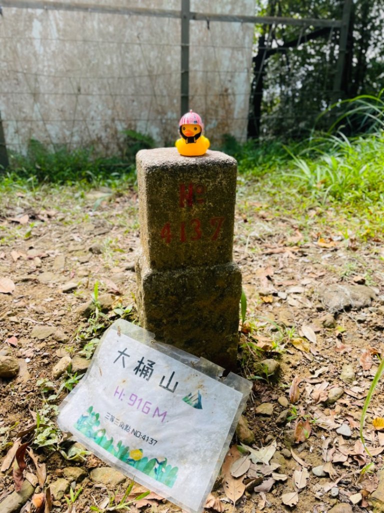 烏桶縱走-連走四崁水山出桂山-烏來大桶山野餐輕鬆愜意行_2630324