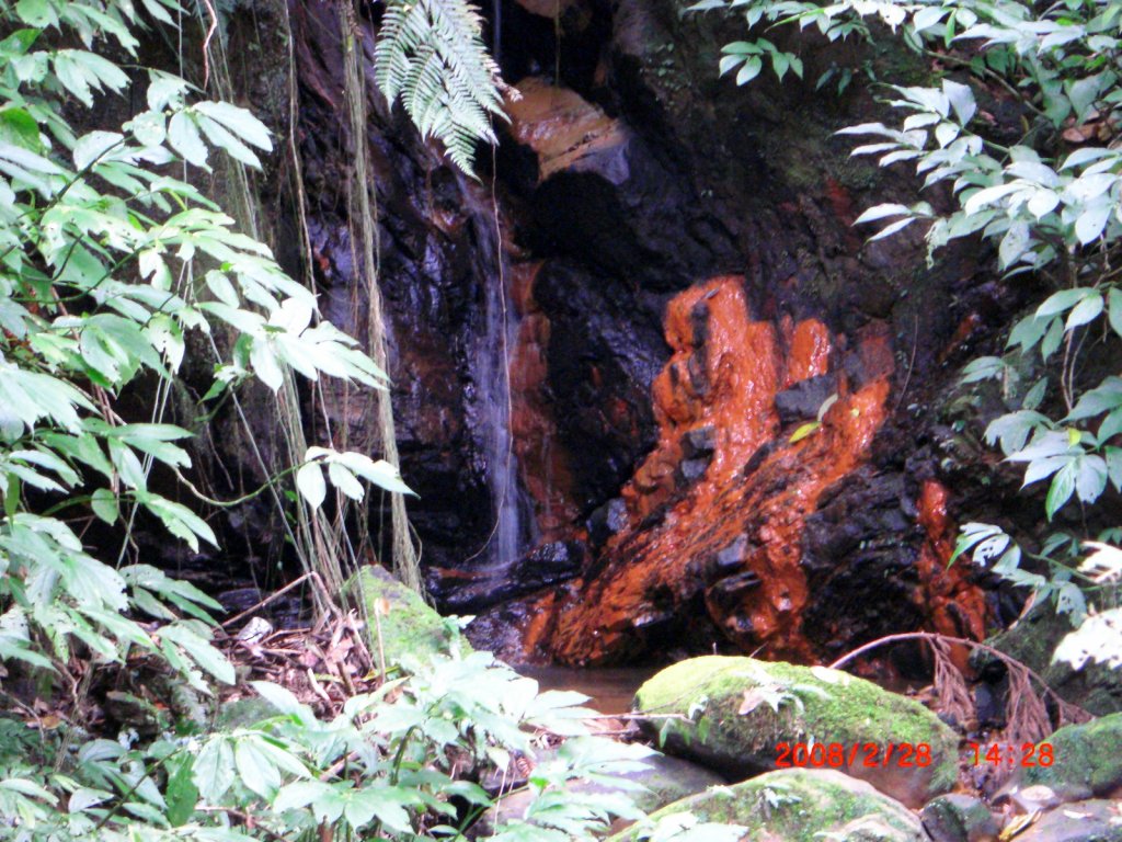 橫山_山背山騎龍古道20080228_1961352