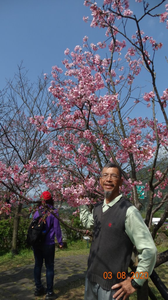 追花是簡單的快樂，賞花是恬淡的幸福。_871256