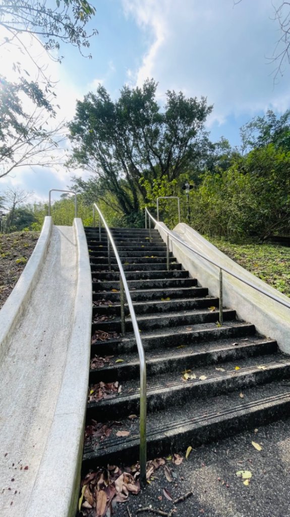 🐍來運轉-蛇子行古道-三爪坑山-蛇子崙山_2706690