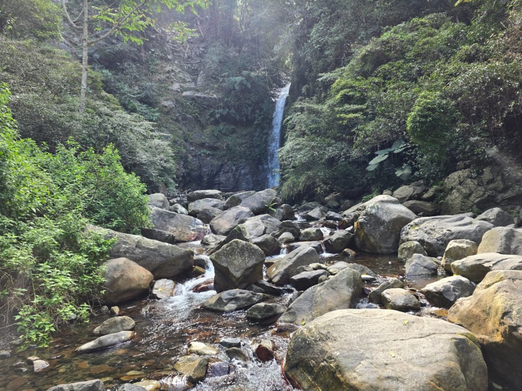 蝶夢八唐（裡冷登山口往返）八仙山出雲海下山順賞富士櫻_2722689