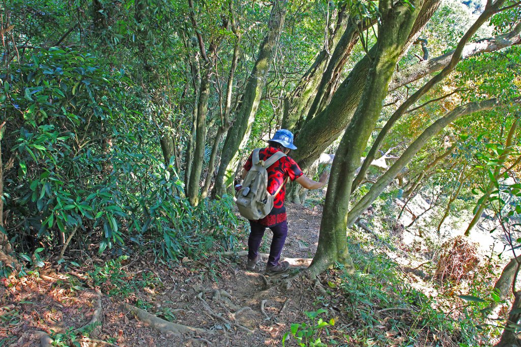 總督府步道.頭寮山_752456