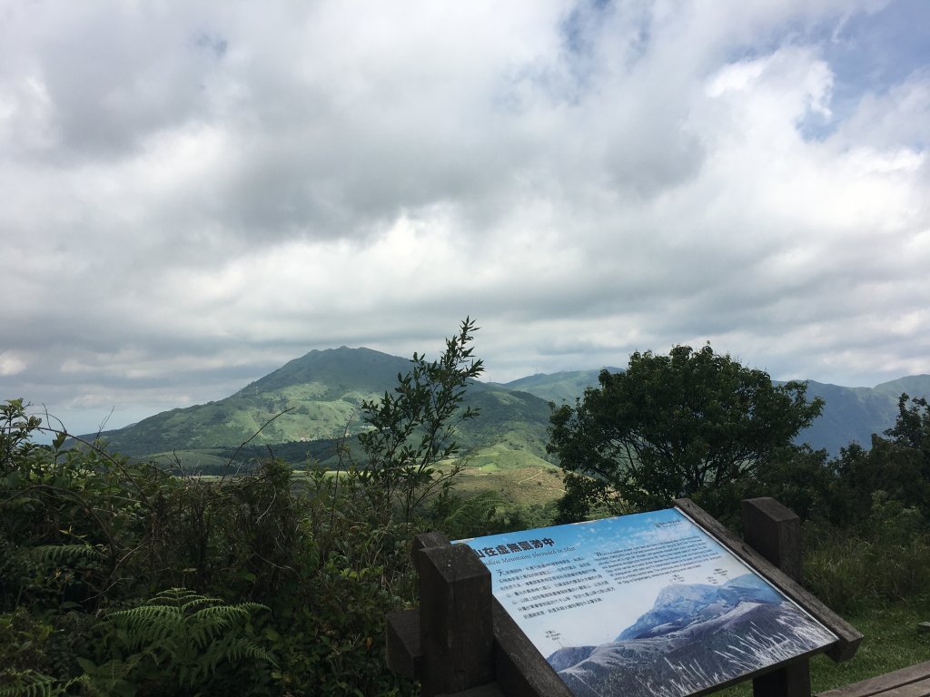 擎天崗_竹篙山_石梯嶺_995471