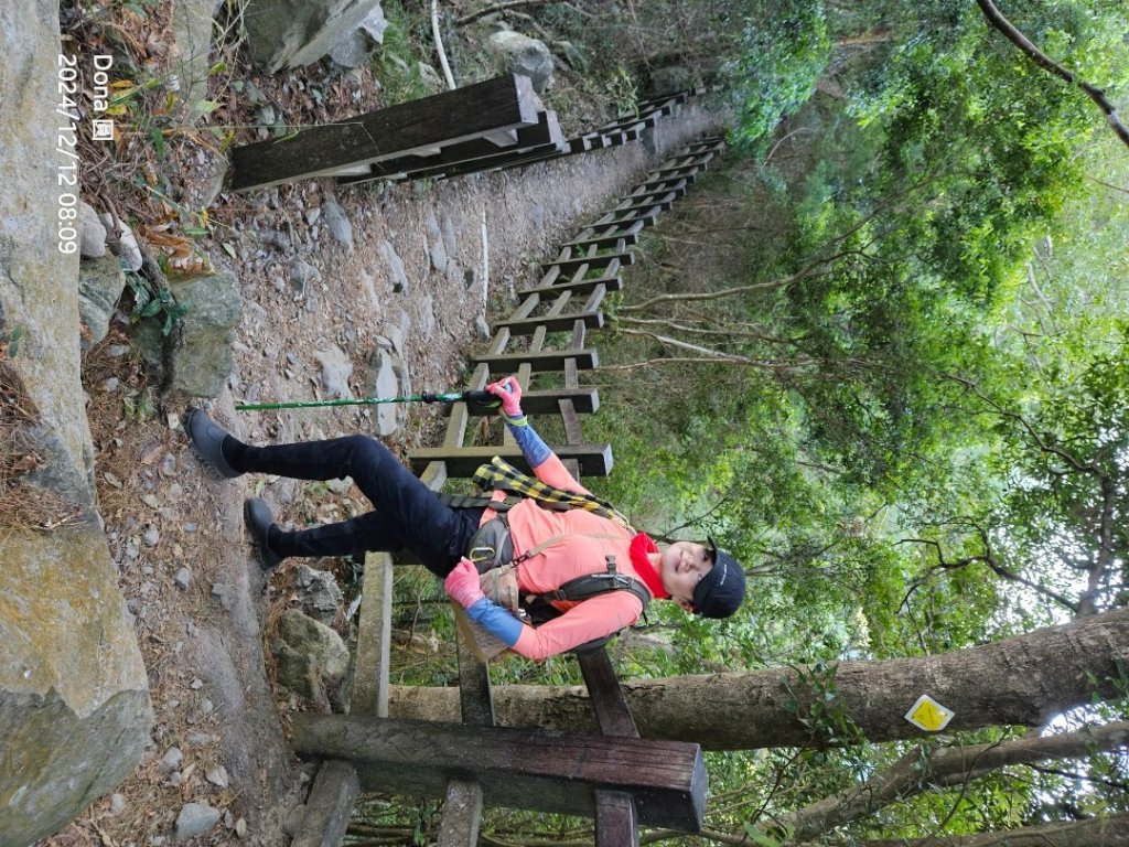 【谷關七雄】波津加(H1771.6m)肉腳配速成功_2670406