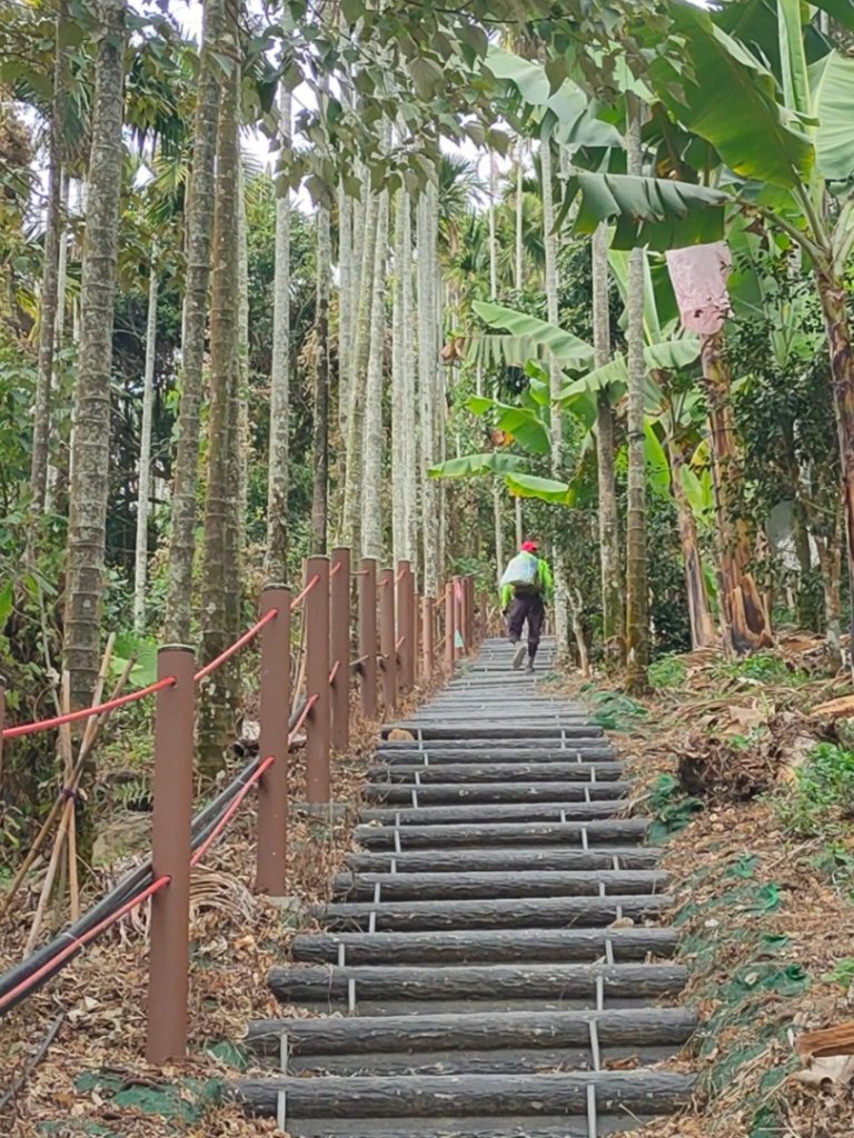 嘉義［阿拔泉山稜線步道］+太平雲梯_2235710