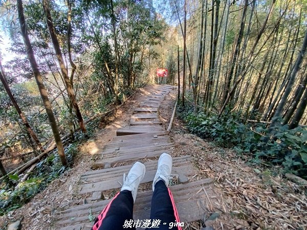 【嘉義梅山】悠閒踏青趣。 雲嘉大尖山、二尖山步道_2447283