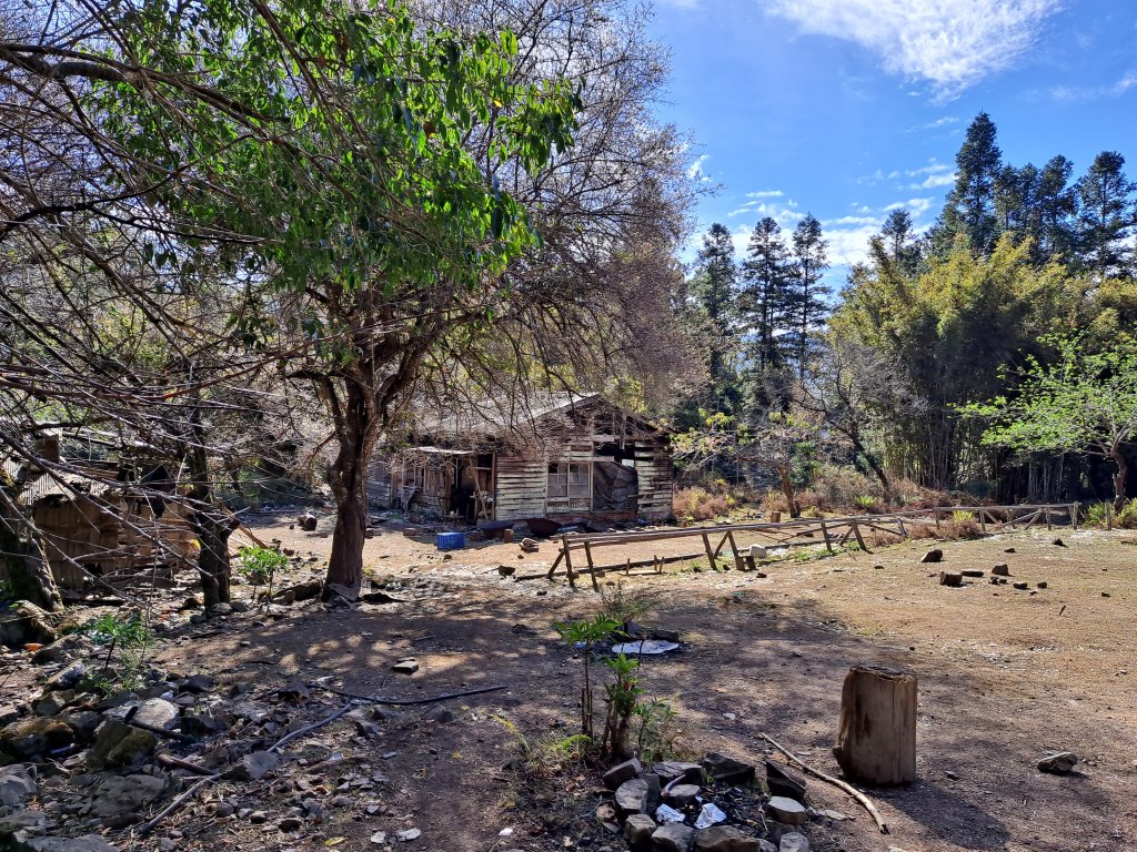 一日白雪村_2039732