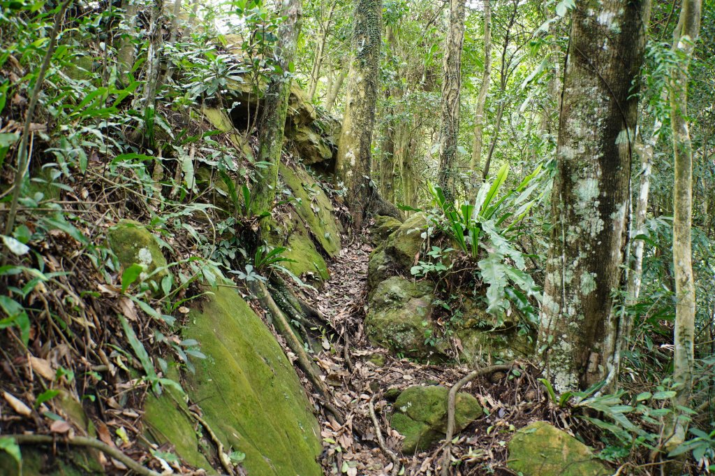 新竹 關西 福大山、彩和山、高甫山_2988281