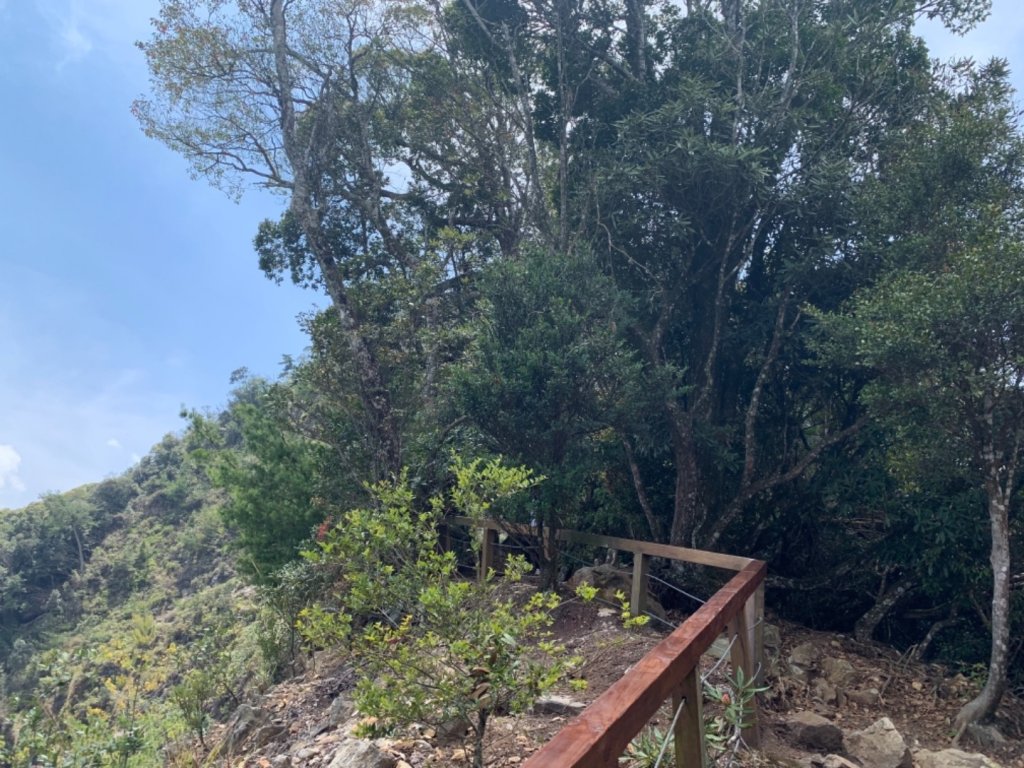 谷關七雄老六～白毛山_562600