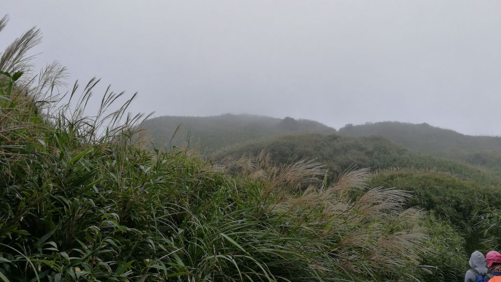 七星山主峰、東峰之行_408963