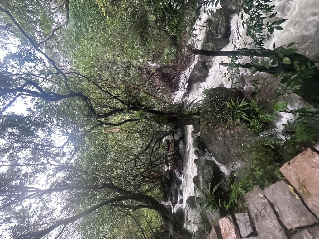 2024草嶺古道芒花季草嶺古道_2644795