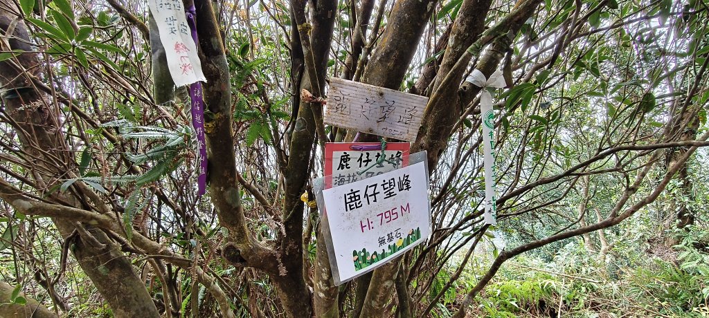 2025/01/01_出關古道-十分崠段_2681066