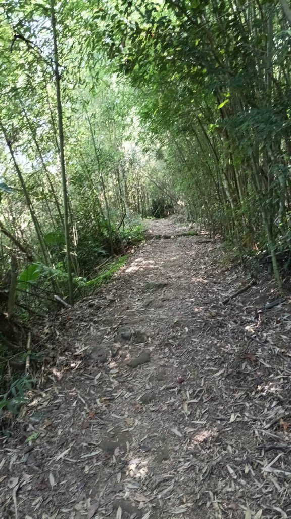 20251004 馬那邦山 - 珠湖 登山口_2904910