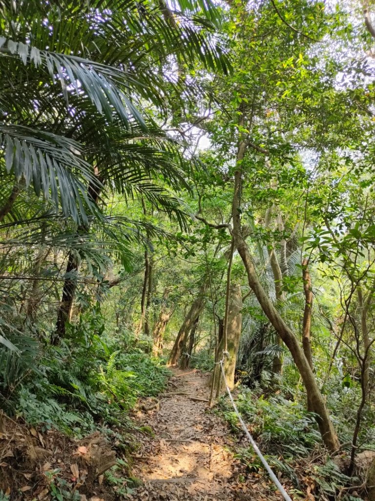 2023.04.13 大艽芎古道登溪洲山_2111620