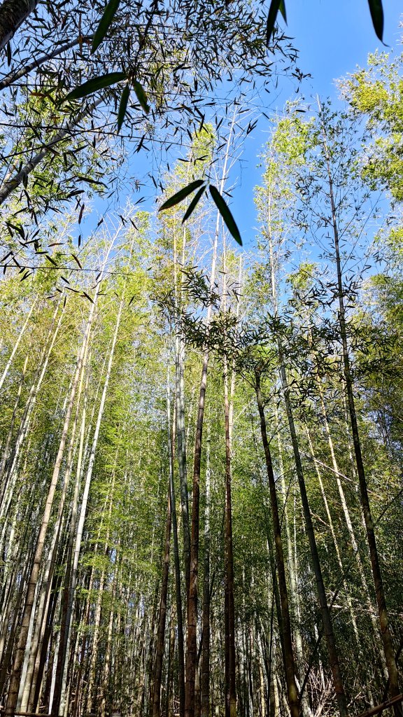 長壽山_2678048