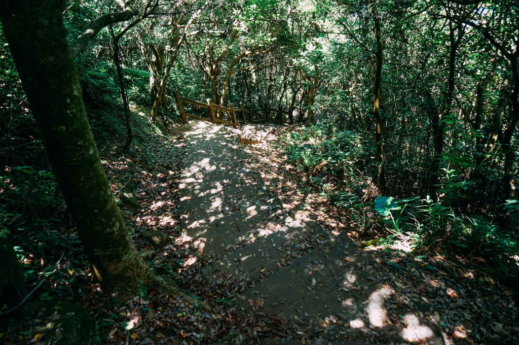 龜山島登島 －401 高地_151027