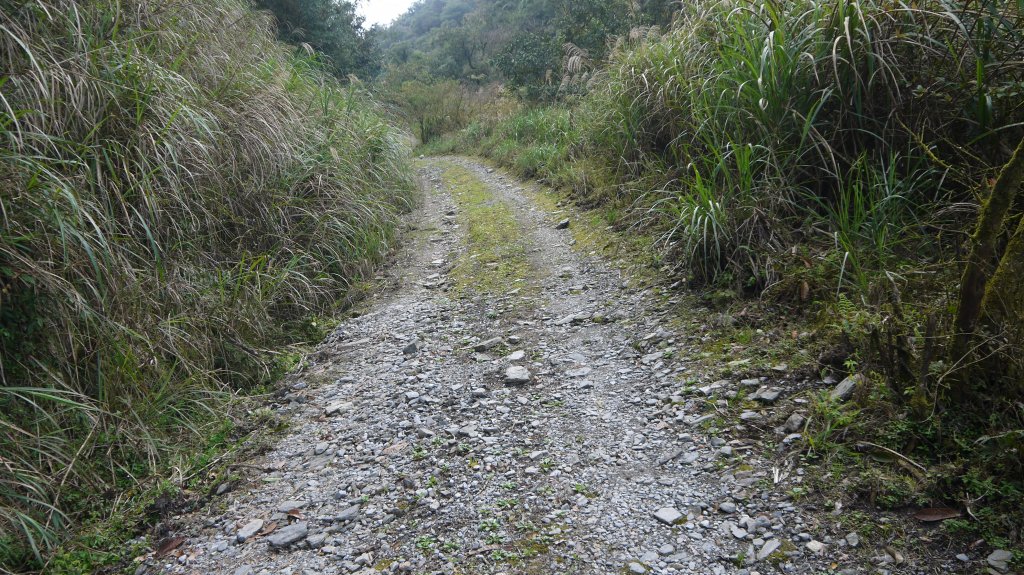 大白山登山健行趣(中級山)_1649680