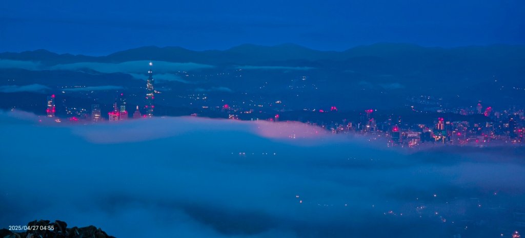 陽明山趴趴走 #琉璃光雲海 ，首拍 #綠鳩 4/27_2770786