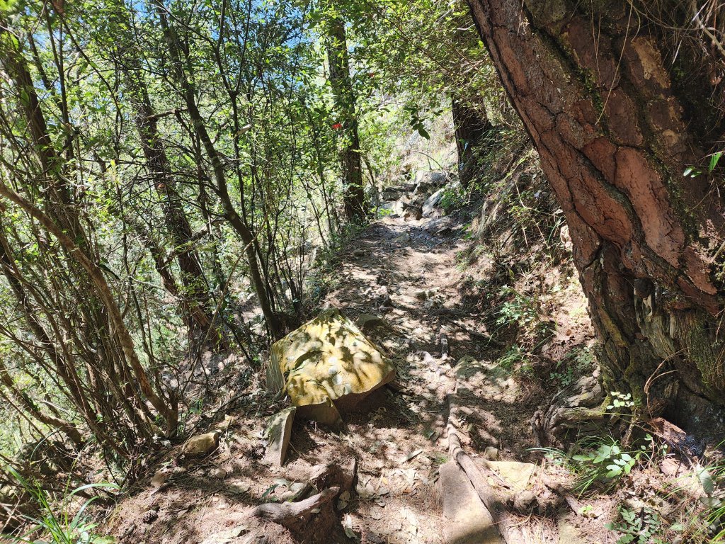 20241013東南稜上東卯山_2670997