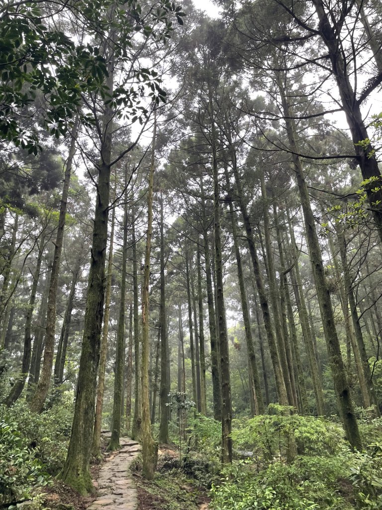 台北大縱走3_2769680