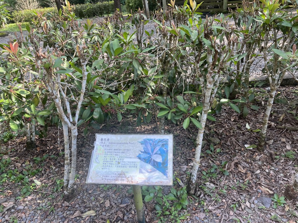 [屏步青雲 尋寶任務-05/10] 2024_0917 涼山瀑布步道_2598018