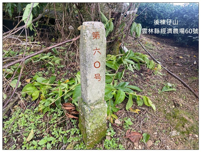 後棟仔山 O型路線封面圖