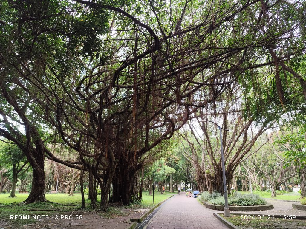 大安森林公園【走路趣尋寶】【臺北健走趣】_2536261