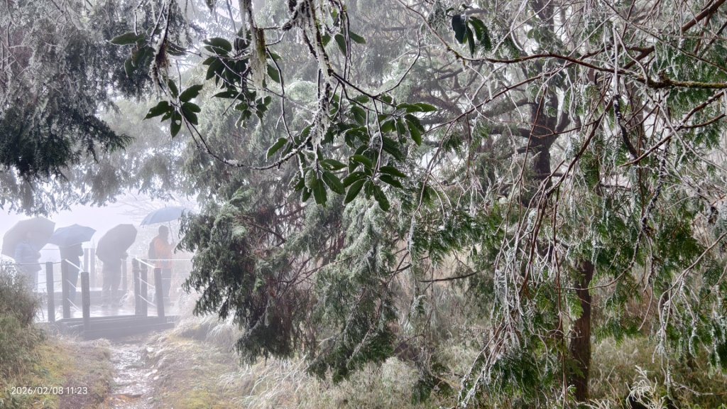 #霧淞 #雲海 #雲瀑 #霧虹 #太平山 #望洋山 #觀雲步道 #翠峰道路  2/8_2995323