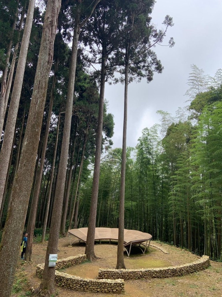 雲嶺之丘_20240720_2555092