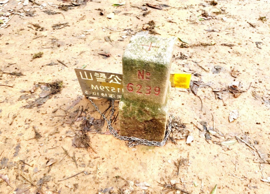 【中級山】有一種美，令人不想回家，新竹鵝公髻山_2744641