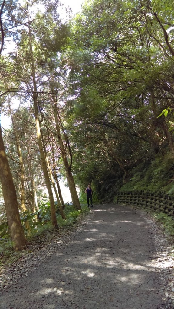 心之所嚮的礁溪聖母峰－抹茶山_880493
