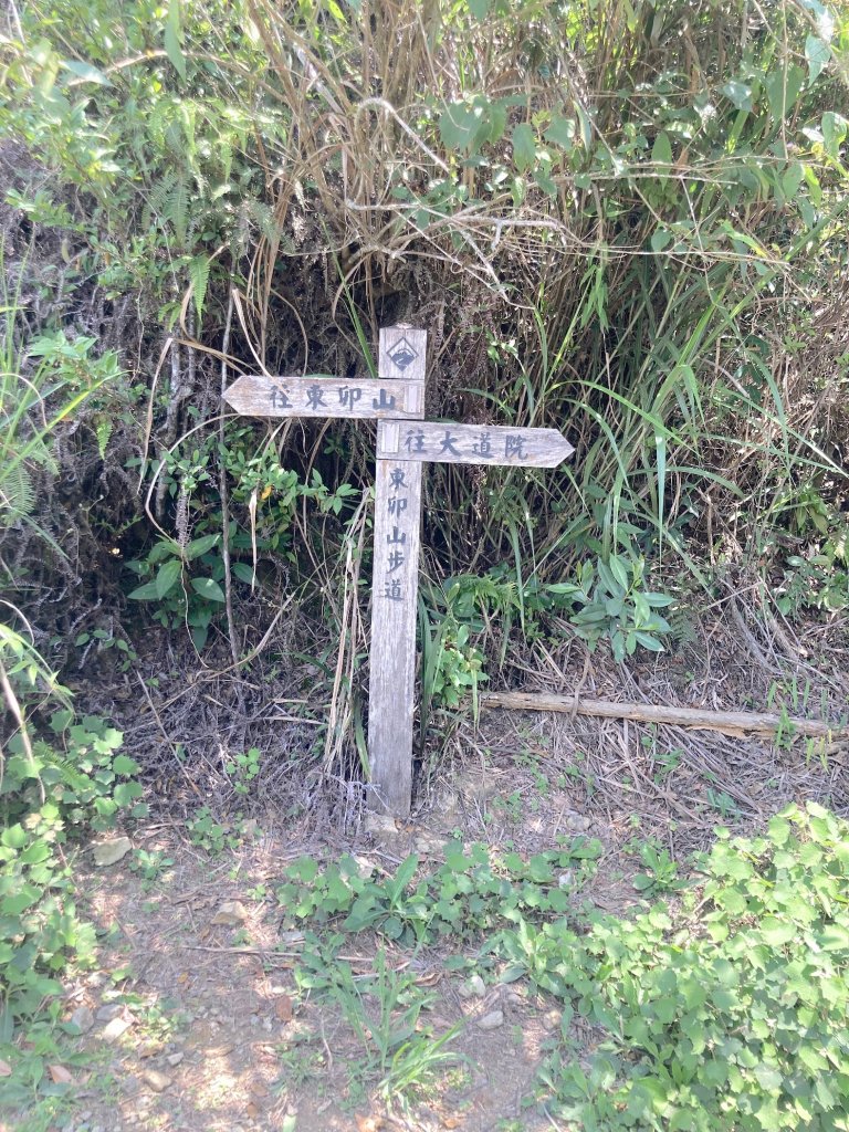 年輕人爬山趣～東卯山 6/3 2023_2178976