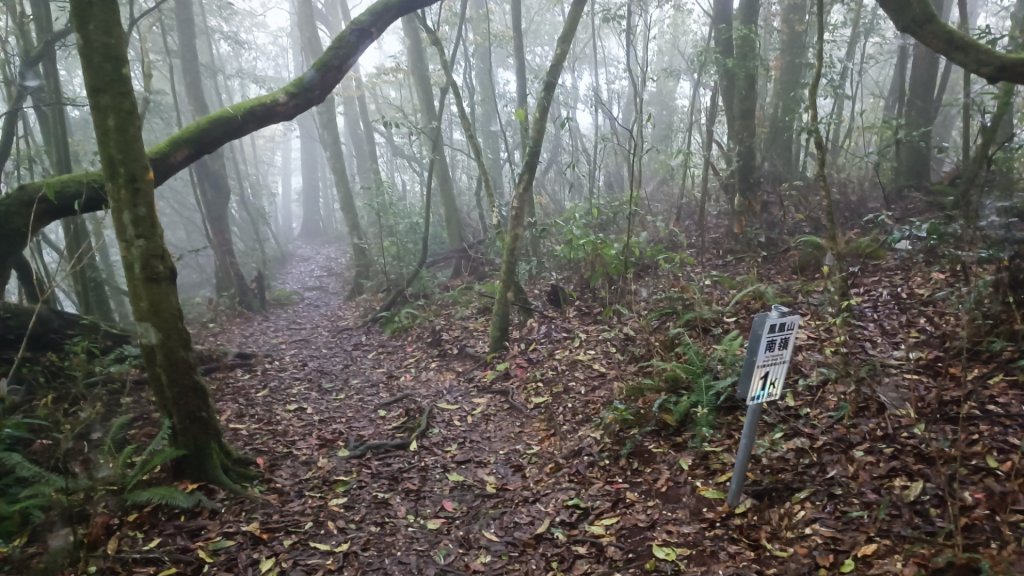 鳳凰南嶺線步道(溪頭至杉林溪縱走)_2150725