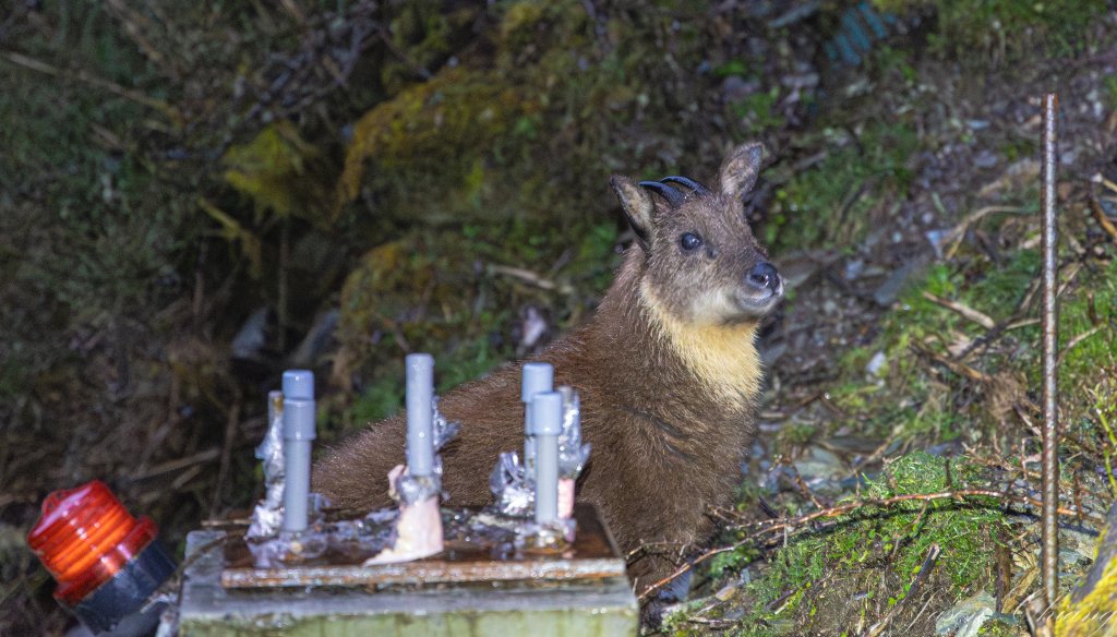 南二段撤退行_2743000