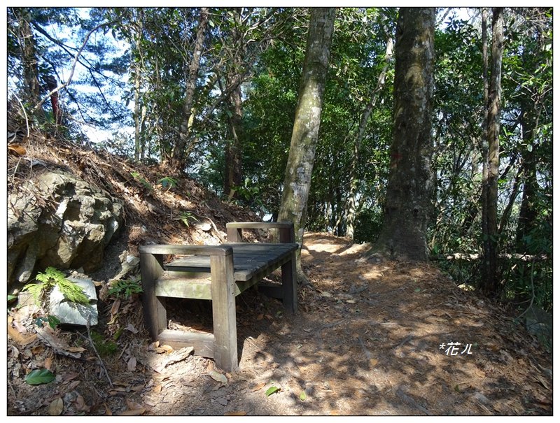 唐麻丹山/裡冷步道_868418