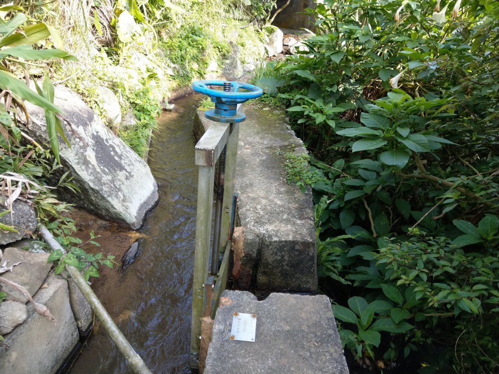 冷水坑-擎天崗環狀步道(竹嵩山)-風櫃嘴_821133
