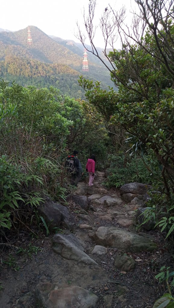 劍潭山/文間山/金面山尋幽_916585