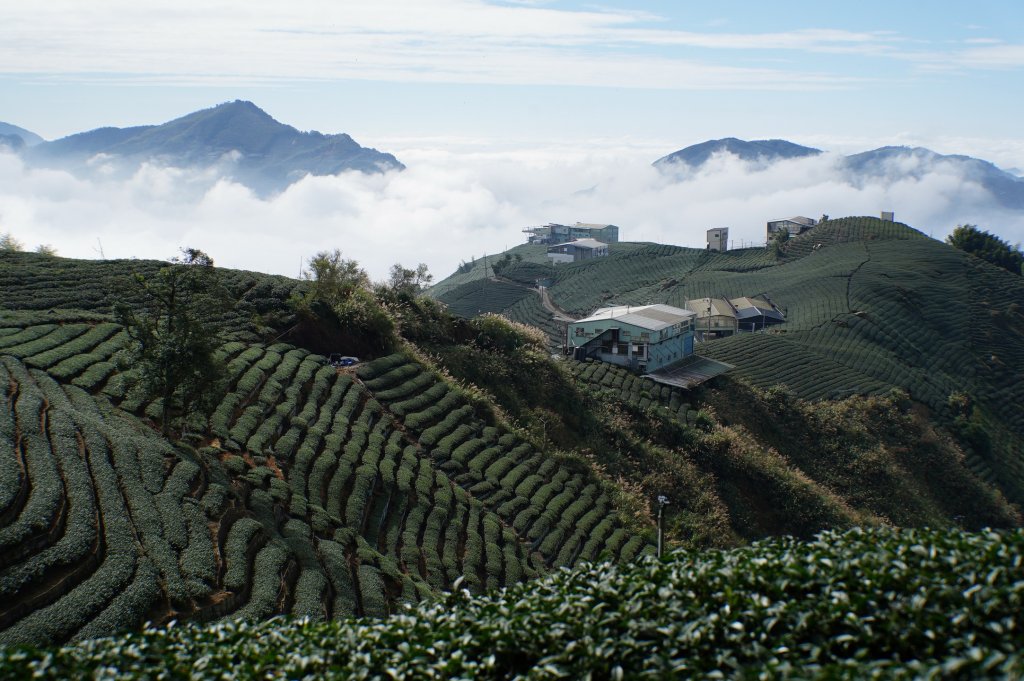 南投 鹿谷 龍鳳山、龍鳳峽山、三叉崙山、水桶寮山、內樹皮山、羊頭崙山、志騰山、竹崙山、溪頭山_2962302